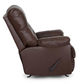 Trilogy Rocker Recliner